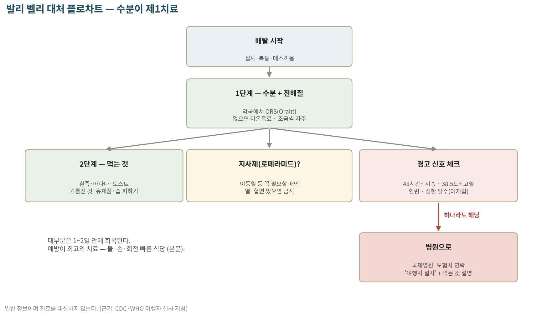 발리 벨리 대처 플로차트 — 경고 신호가 하나라도 있으면 병원(20장)